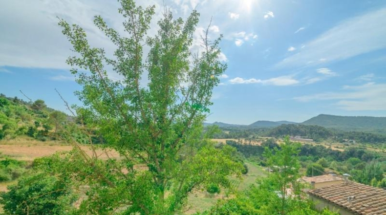Барселона - Sant Salvador de Guardiola - 374m2