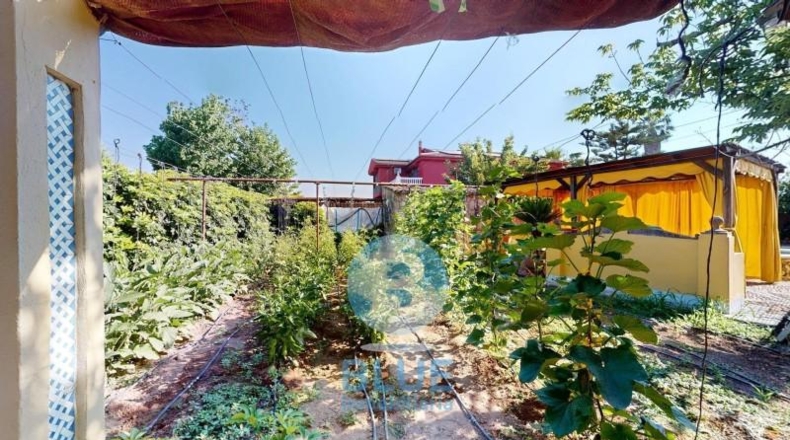 Córdoba - Encinarejo de Córdoba - 1008m2