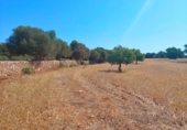 Terreno no urbanizable en venta en la España, Cala Santanyí, ref: TR414640 foto