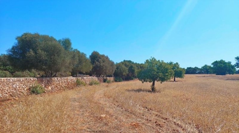 Балеарские острова - Cala Santanyí - 23000m2