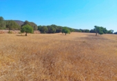 Terreno no urbanizable en venta en la España, Cala Santanyí, ref: TR414640 foto