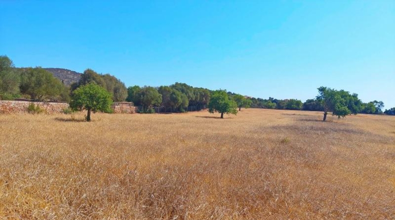 Балеарские острова - Cala Santanyí - 23000m2