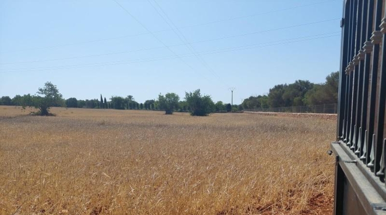 Балеарские острова - Cala Santanyí - 23000m2