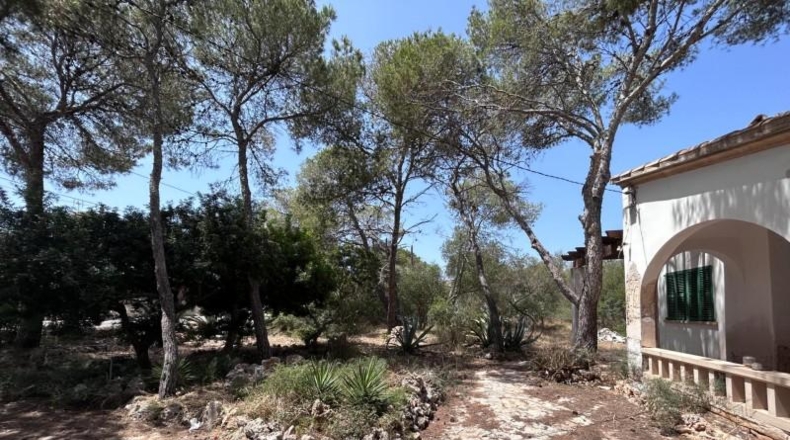 Балеарские острова - Cala Santanyí - 415m2
