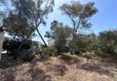 Casa de pueblo en venta en la España, Cala Santanyí, ref: TR414645 foto