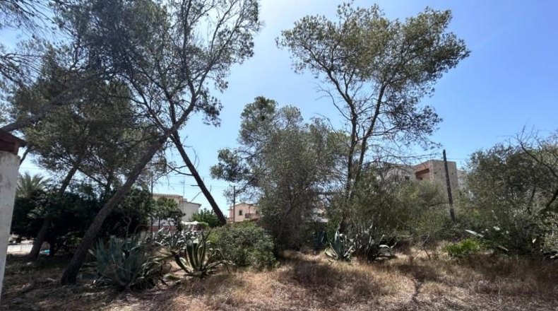 Балеарские острова - Cala Santanyí - 415m2