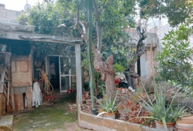 Foto 15