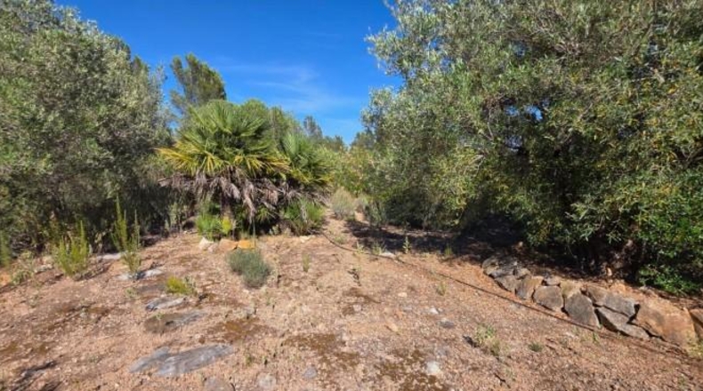 Tarragona - l'Ametlla de Mar - 151m2