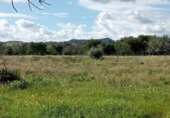 Terreno no urbanizable en venta en la España, Cala Santanyí, ref: TR414661 foto