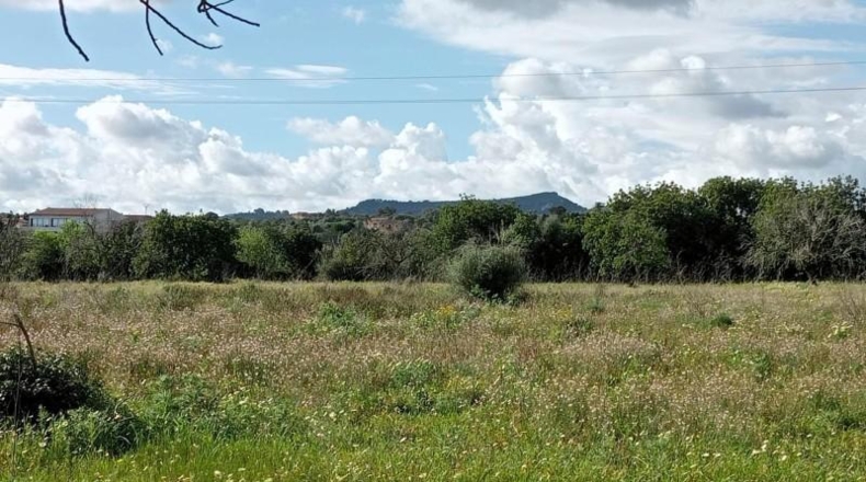 Балеарские острова - Cala Santanyí - 19990m2