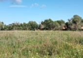 Terreno no urbanizable en venta en la España, Cala Santanyí, ref: TR414661 foto