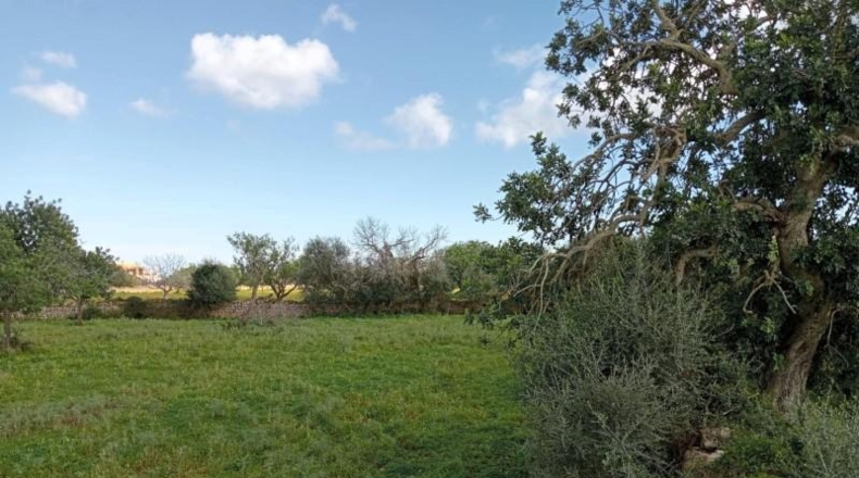 Балеарские острова - Cala Santanyí - 19990m2