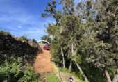 Chalet independiente con terreno en venta en la España, Garachico, ref: TR414668 foto