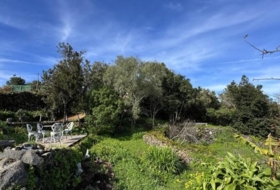 Garachico 9078&nbsp;m²