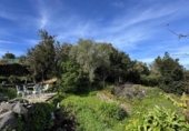 Chalet independiente con terreno en venta en la España, Garachico, ref: TR414668 foto
