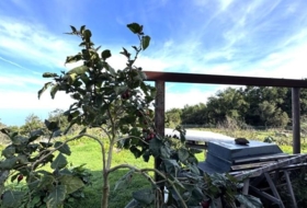 Garachico 9078&nbsp;m²