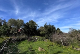 Garachico 9078&nbsp;m²