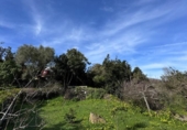Chalet independiente con terreno en venta en la España, Garachico, ref: TR414668 foto