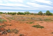 Terreno no urbanizable en venta en la España, Campos, ref: TR414669 foto