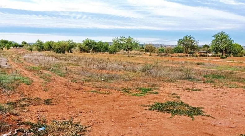Балеарские острова - Campos - 14400m2