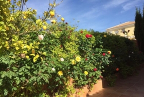Foto 14