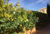 Chalet independiente con terreno en venta en la España, Antequera, ref: TR414670 foto