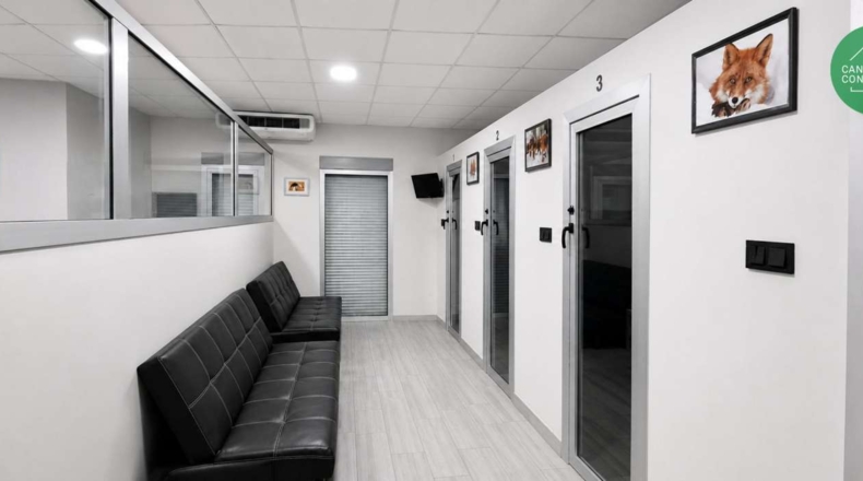Lugo - Castro Ribeiras de Lea - 325m2