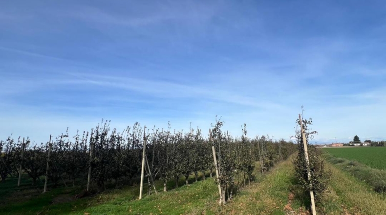 Lerida - Golmés - 12592m2