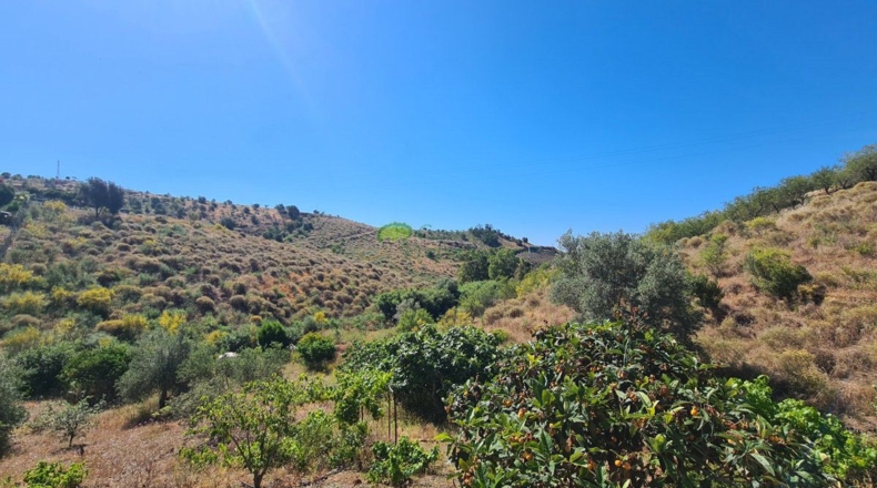 Málaga - Triana - 2500m2