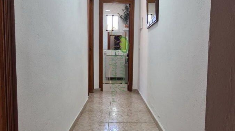 Málaga - Triana - 2500m2
