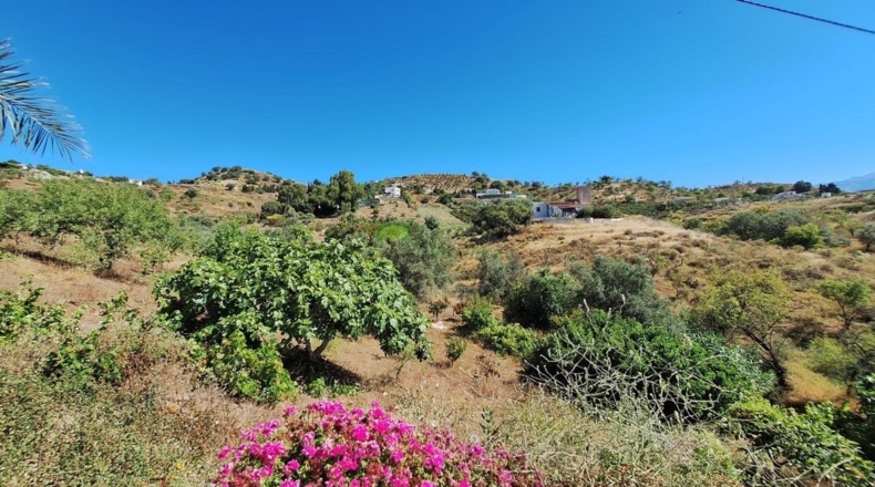 Málaga - Triana - 2500m2