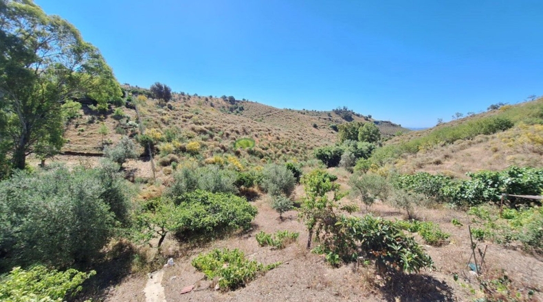 Málaga - Triana - 2500m2