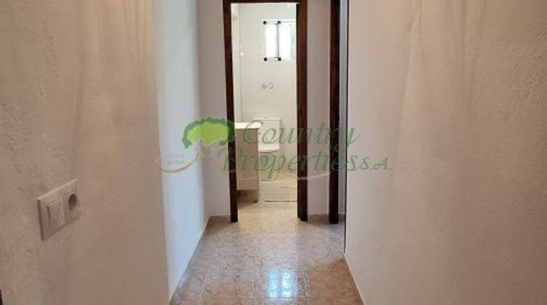 Málaga - Triana - 2500m2