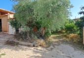 Chalet independiente con terreno en venta en L'Alcora ref: TR414676 foto