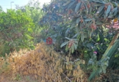 Chalet independiente con terreno en venta en L'Alcora ref: TR414676 foto