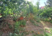 Chalet independiente con terreno en venta en L'Alcora ref: TR414676 foto