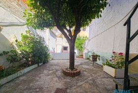 Foto 15