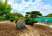 Casa de pueblo en venta en les Cases Noves ref: TR414716 foto