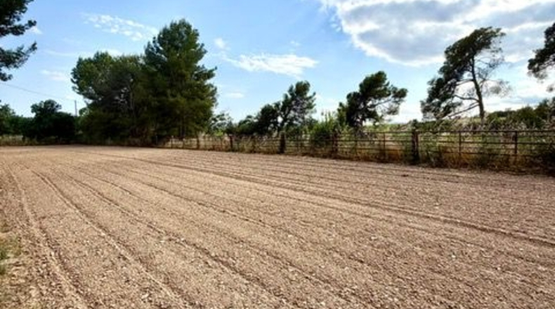 Барселона - les Cases Noves - 366m2