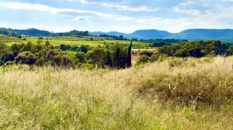 Барселона - les Cases Noves - 366m2