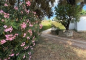 Casa de pueblo en venta en les Cases Noves ref: TR414716 foto