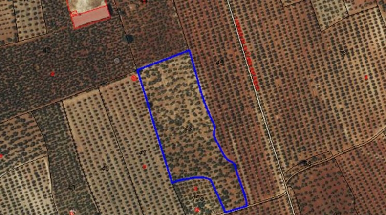 Seville - Morón de la Frontera - 29000m2