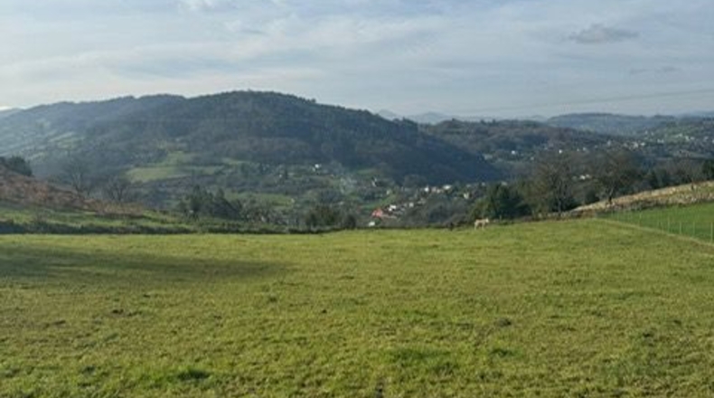 Asturias - Oviedo - 3200m2