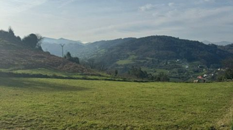Asturias - Oviedo - 3200m2