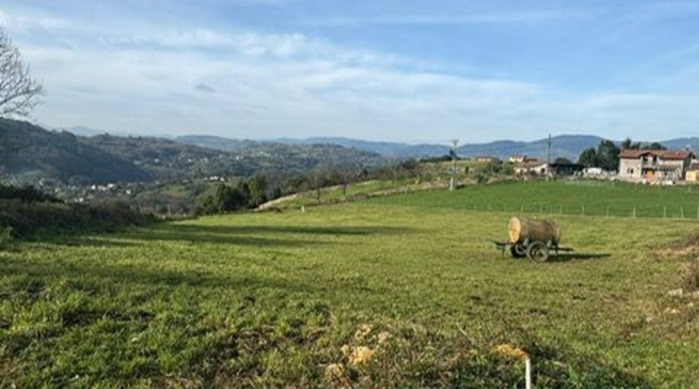 Asturias - Oviedo - 3200m2