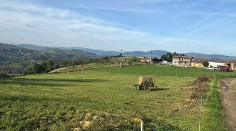 Asturias - Oviedo - 3200m2