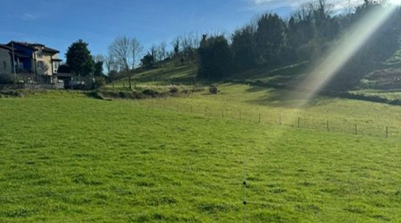 Asturias - Oviedo - 3200m2