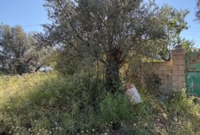 Béznar 1200&nbsp;m²