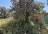 Masía con terreno en venta en Béznar ref: TR414686 foto