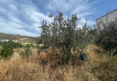 Casa de pueblo en venta en la España, Sorbas, ref: TR414693 foto